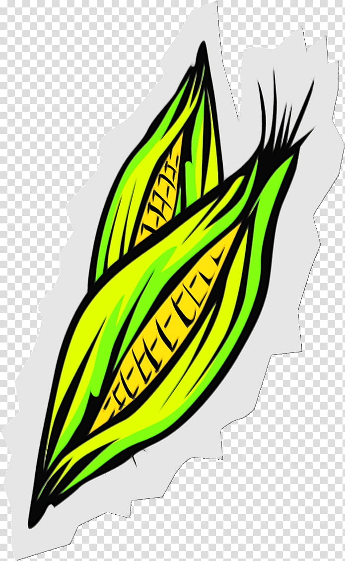 Leaf Watercolor, Paint, Wet Ink, Maize, Northern Corn Leaf Blight, Corn On The Cob, Southern Corn Leaf Blight, Food transparent background PNG clipart