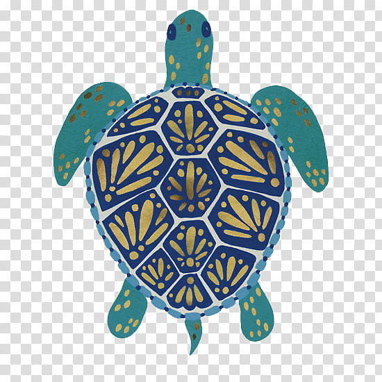 s, white, teal, and blue turtle illustration transparent background PNG clipart