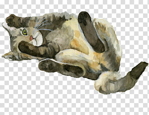 More s, brown and gray cat illustration transparent background PNG clipart