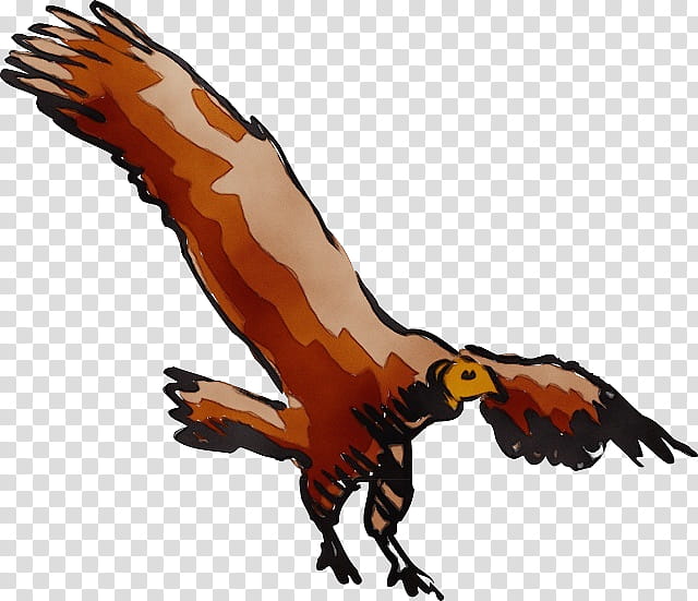 golden eagle bird bird of prey hawk, Watercolor, Paint, Wet Ink, Wing, Claw transparent background PNG clipart