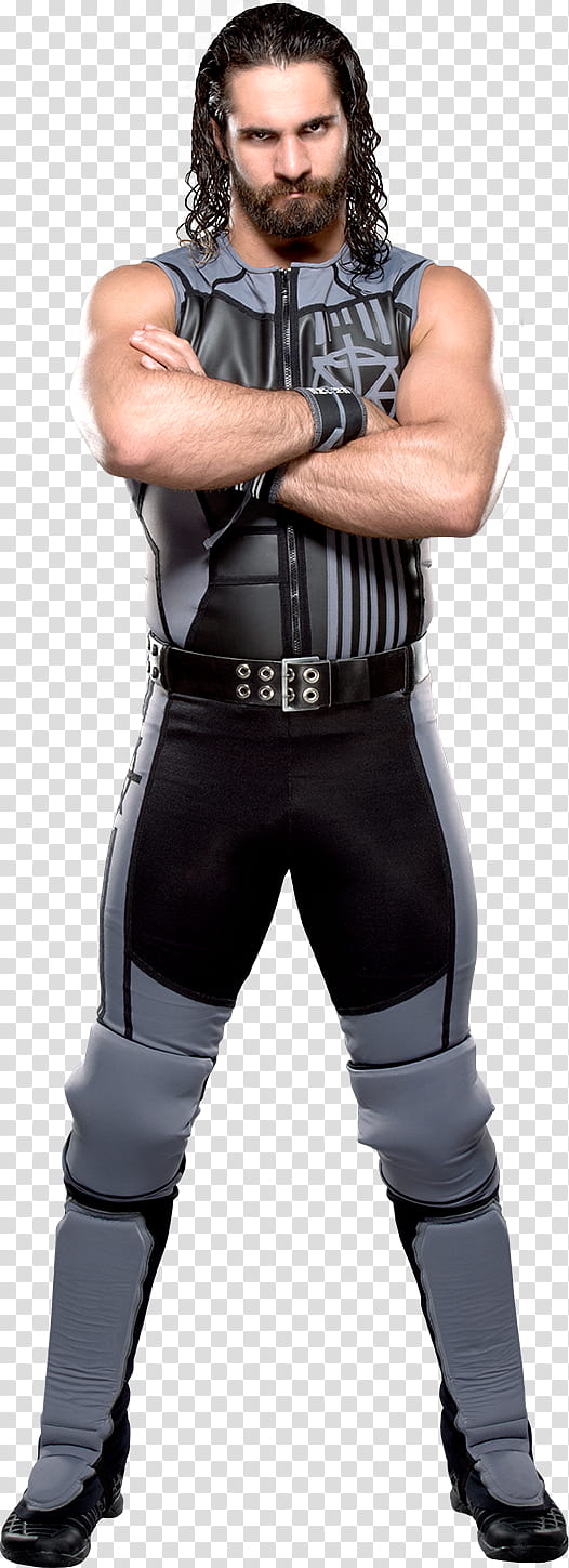 Seth Rollins  Stats transparent background PNG clipart