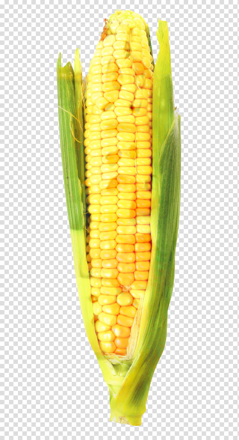 Vegetable, Corn On The Cob, Dent Corn, Sweet Corn, Corn Kernel, Corn Tortilla, Corn Kernels, Vegetarian Food transparent background PNG clipart