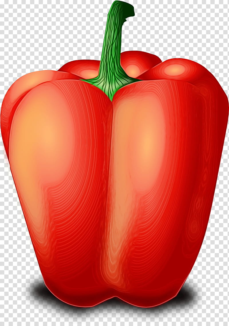 natural foods bell pepper pimiento capsicum vegetable, Watercolor, Paint, Wet Ink, Bell Peppers And Chili Peppers, Red, Red Bell Pepper, Plant transparent background PNG clipart