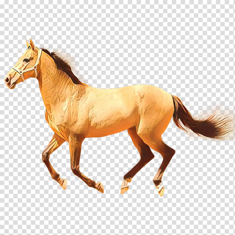 Horse, Cartoon, Mustang, Arabian Horse, Stallion, Foal, Mare, Wild Horse transparent background PNG clipart