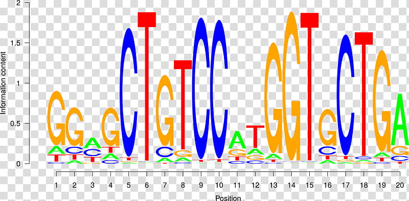 Motif, Transcription Factor, Binding Site, Dna Binding Site, Sequence Motif, Chipsequencing, Nucleic Acid Sequence, Transcription Factor Binding Site Databases transparent background PNG clipart