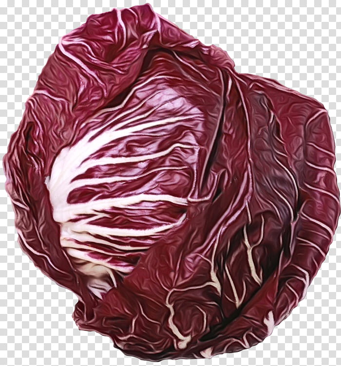 cabbage red cabbage radicchio leaf vegetable vegetable, Watercolor, Paint, Wet Ink, Wild Cabbage, Food, Red Leaf Lettuce, Plant transparent background PNG clipart