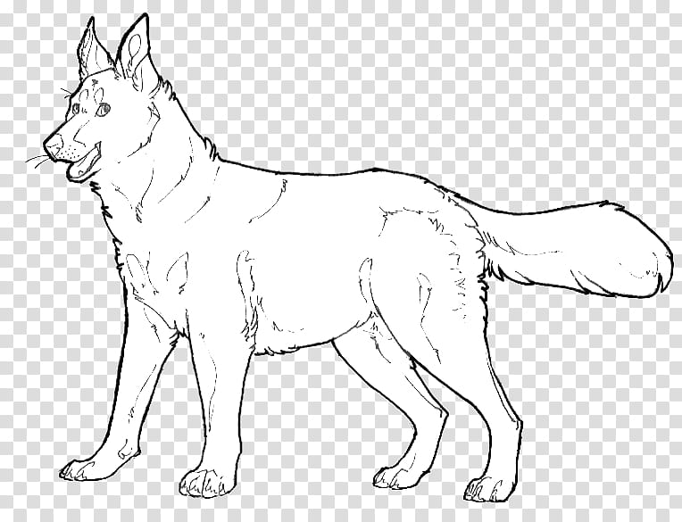 Free Dog Line-Art, black and white fox sketch transparent background PNG clipart