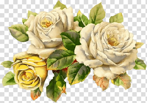 white and yellow flowers art transparent background PNG clipart