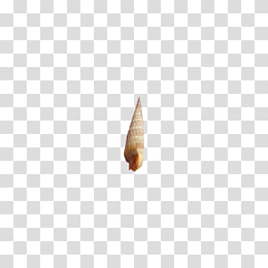 brown shell transparent background PNG clipart thumbnail