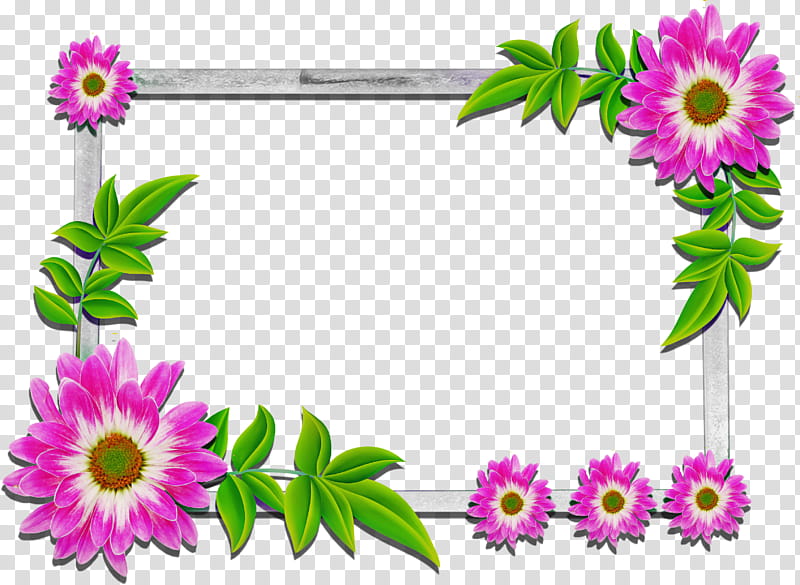 frame, Flower, Plant, African Daisy, Frame, Wildflower, Petal, Aster transparent background PNG clipart