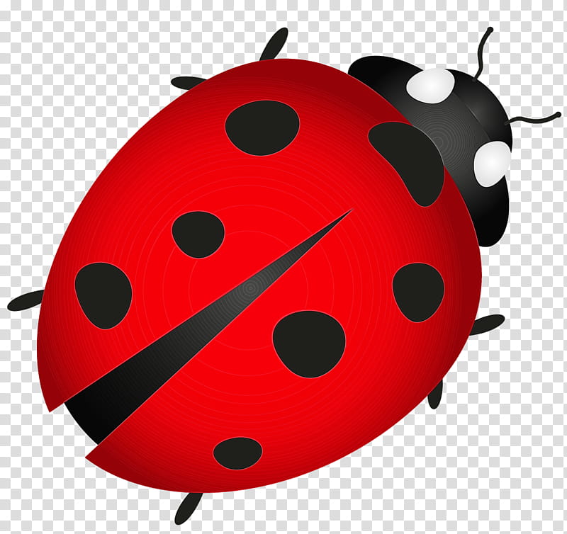 Ladybug Drawing - HelloArtsy