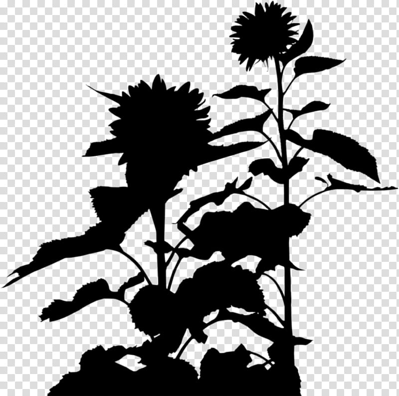 Flower Stencil, Silhouette, Plant Stem, Leaf, Plants, Blackandwhite, Sunflower, Wildflower transparent background PNG clipart