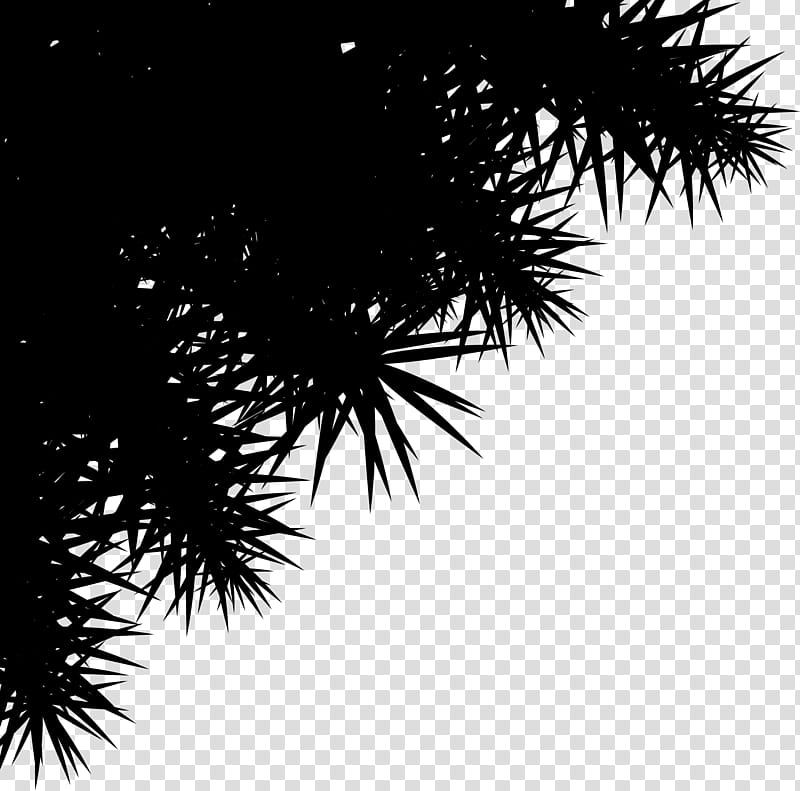 Palm Tree Drawing, Paper, Printing, Christmas Day, Coloring Book, Letter, Offset Printing, Song transparent background PNG clipart