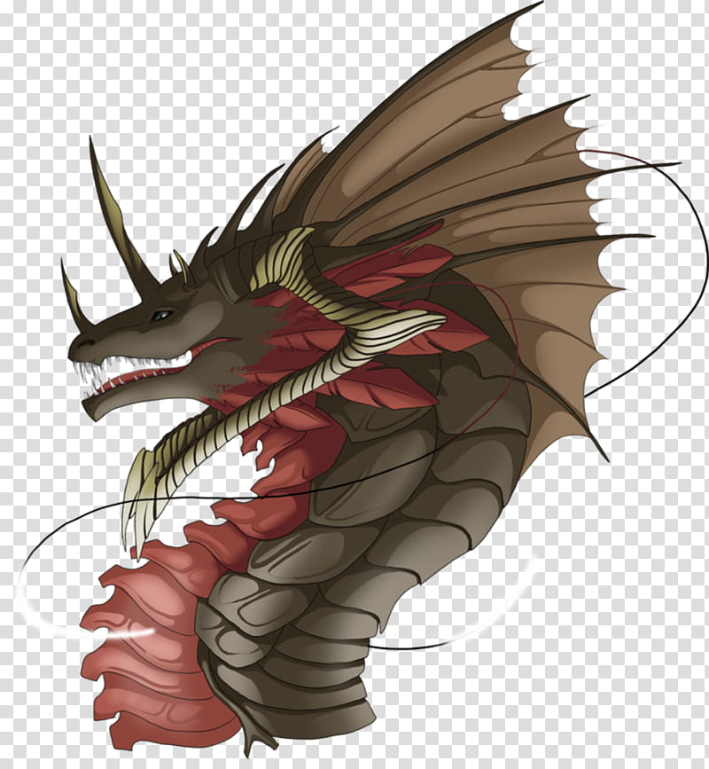 Dragon, Jaw, Claw, Attention, Elf, Race, Rasa, Wing transparent background PNG clipart