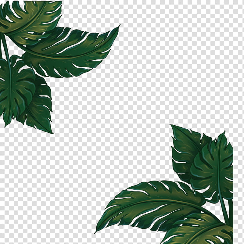 Free download | Banana Leaf, Hardy Banana, Plants, Green Leafs Bananas ...