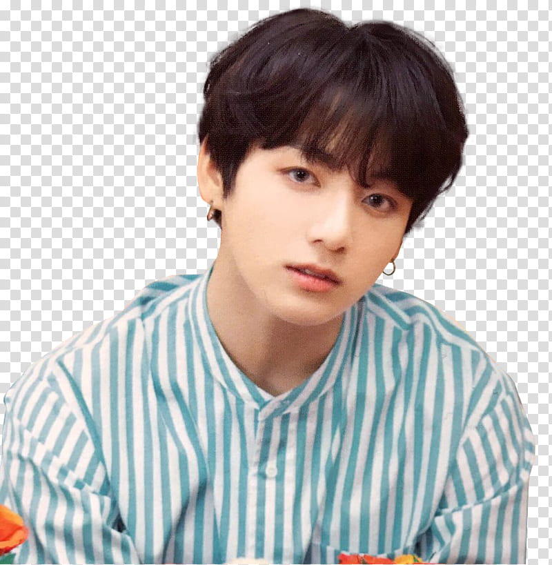 BTS LOVE YOURSELF WORLD TOUR IN JAPAN transparent background PNG ...