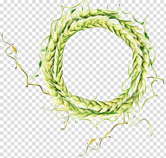 Wheat, Ear, Blog, Diary, Green, Commodity, Plant, Twig transparent background PNG clipart