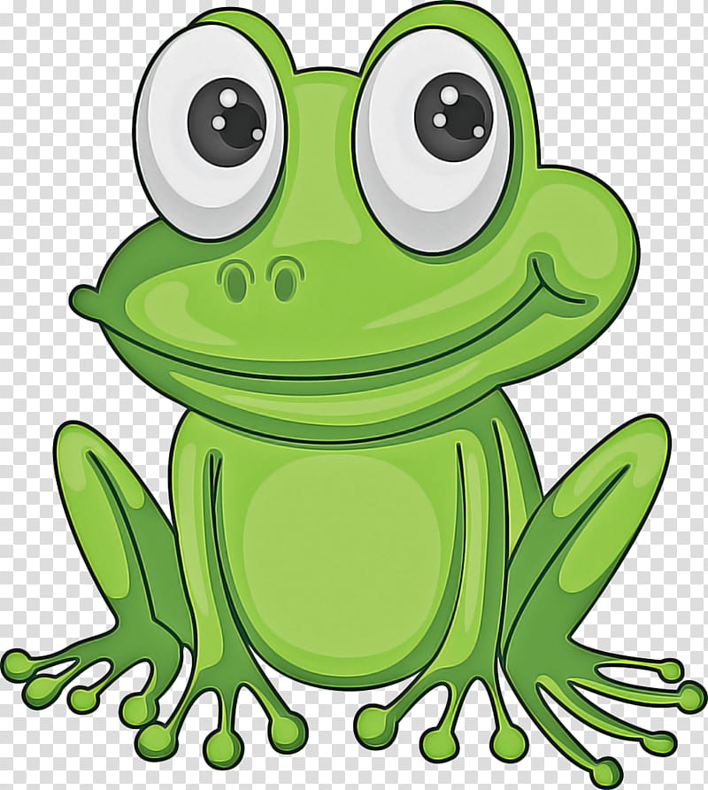 frog green true frog hyla tree frog, Gray Treefrog, Toad, Shrub Frog, Cartoon transparent background PNG clipart