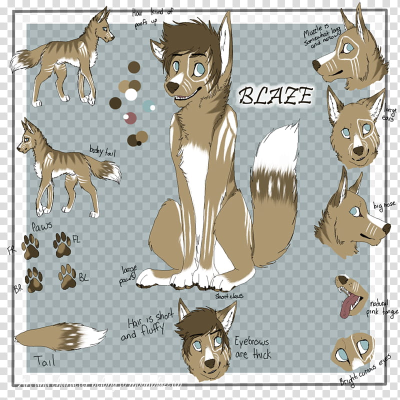 (REF) Blaze transparent background PNG clipart