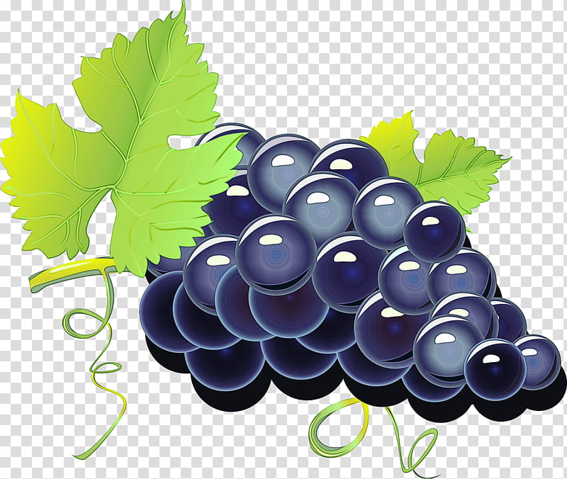 Drawing Of Family, Watercolor, Paint, Wet Ink, Common Grape Vine, Wine, Cartoon, Red Wine transparent background PNG clipart