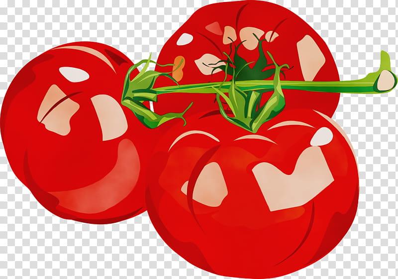 Tomato, Watercolor, Paint, Wet Ink, Red, Bell Pepper, Vegetable, Plant transparent background PNG clipart