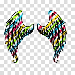 wing transparent background PNG clipart thumbnail