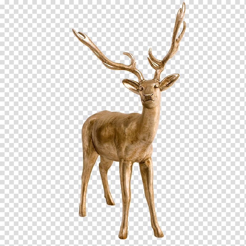 Reindeer, Whitetailed Deer, Animal, Elk, , Sambar Deer, Desktop , Antler transparent background PNG clipart