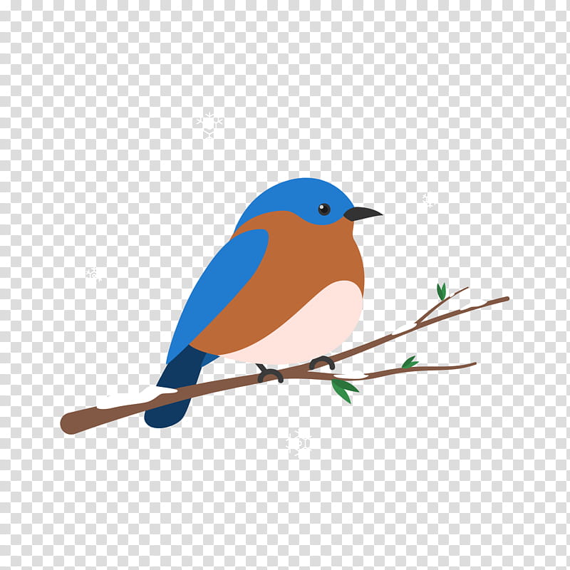 Robin Bird, Flight, Blue, Color, Poster, Beak, Feather, Wing transparent background PNG clipart
