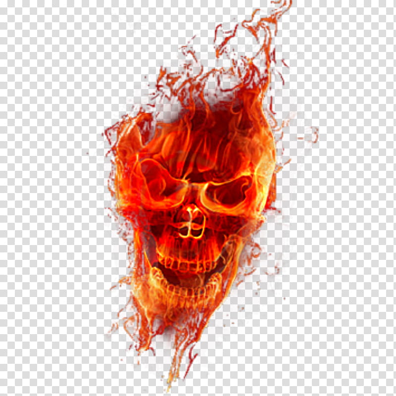 fire skull transparant , flaming skull illustration transparent background PNG clipart