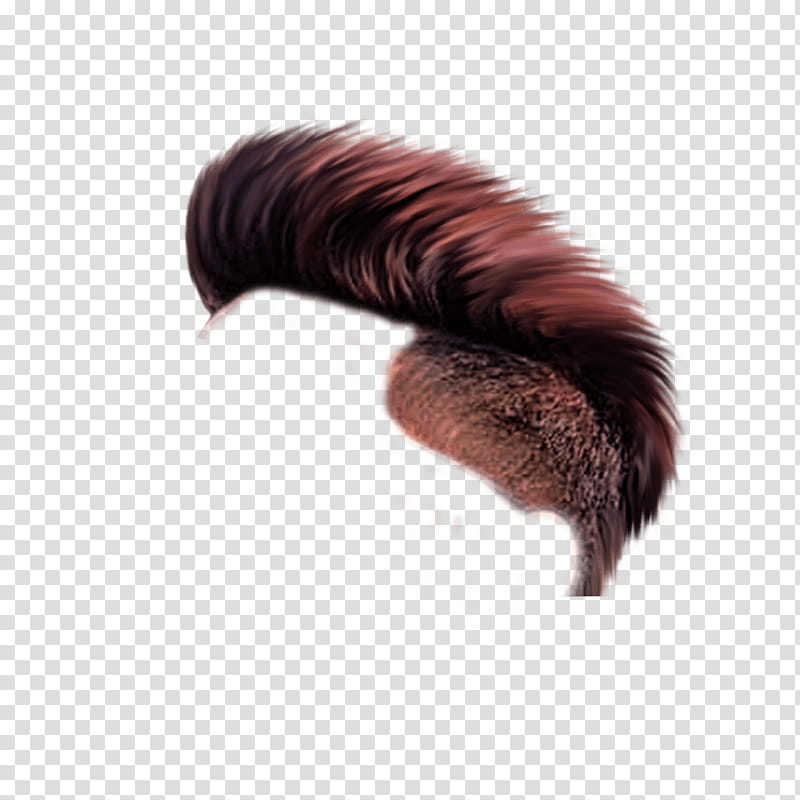 Hairstyle Picsart, Dreadlocks, Afrotextured Hair, Editing, Web Design, RAR, Brown, Hair Coloring transparent background PNG clipart