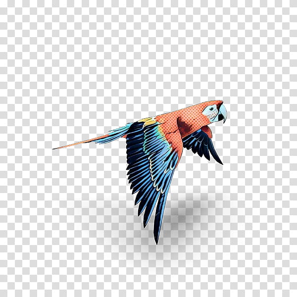 Bird Parrot, Macaw, Beak, Feather, Wing, Coraciiformes, Wildlife, Tail transparent background PNG clipart