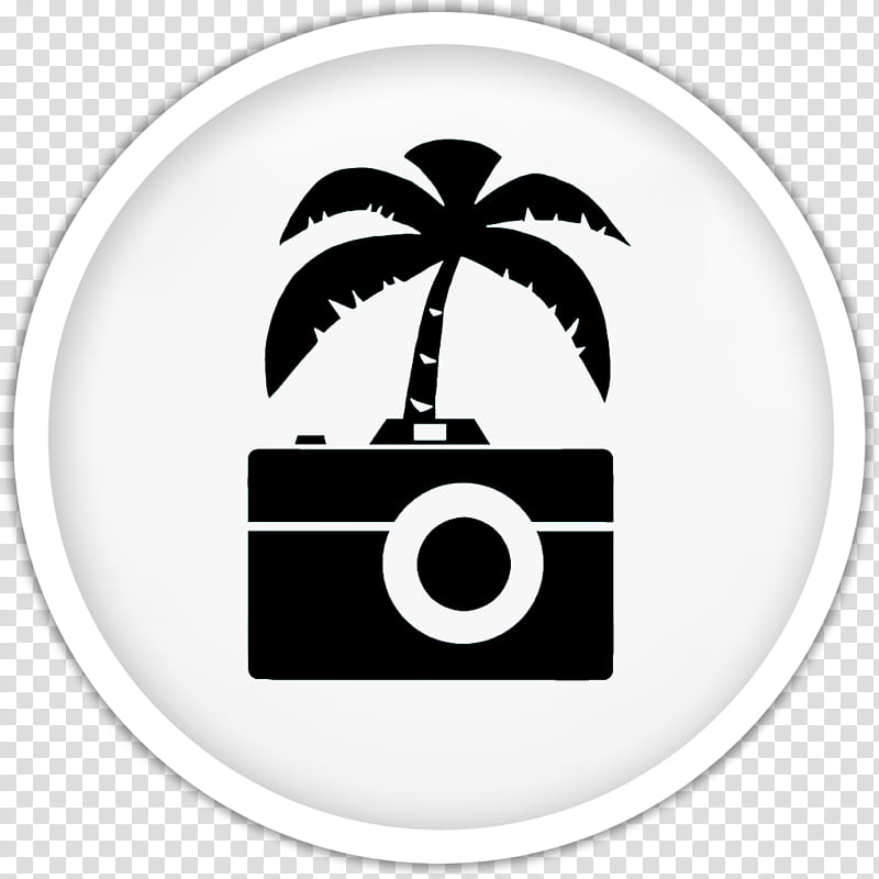 Dots v  , palm tree and camera illustration transparent background PNG clipart