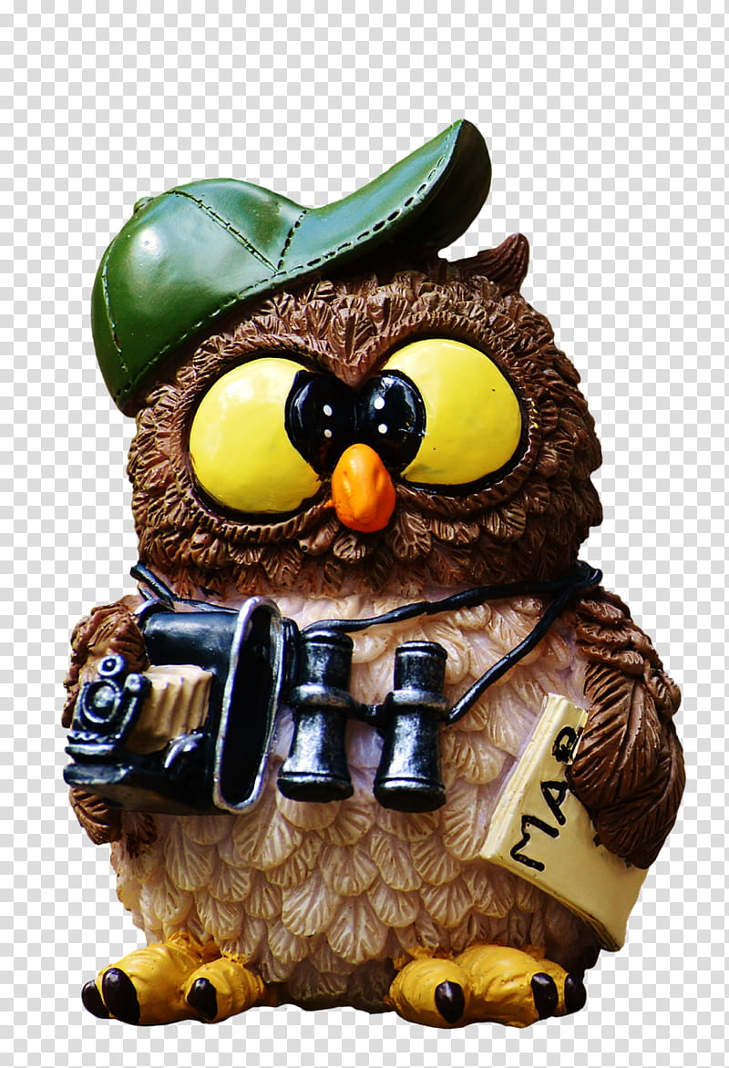 Owl, Binoculars, Telescope, Camera, Computer, Widescreen, Spotting Scopes, Tablet Computers transparent background PNG clipart