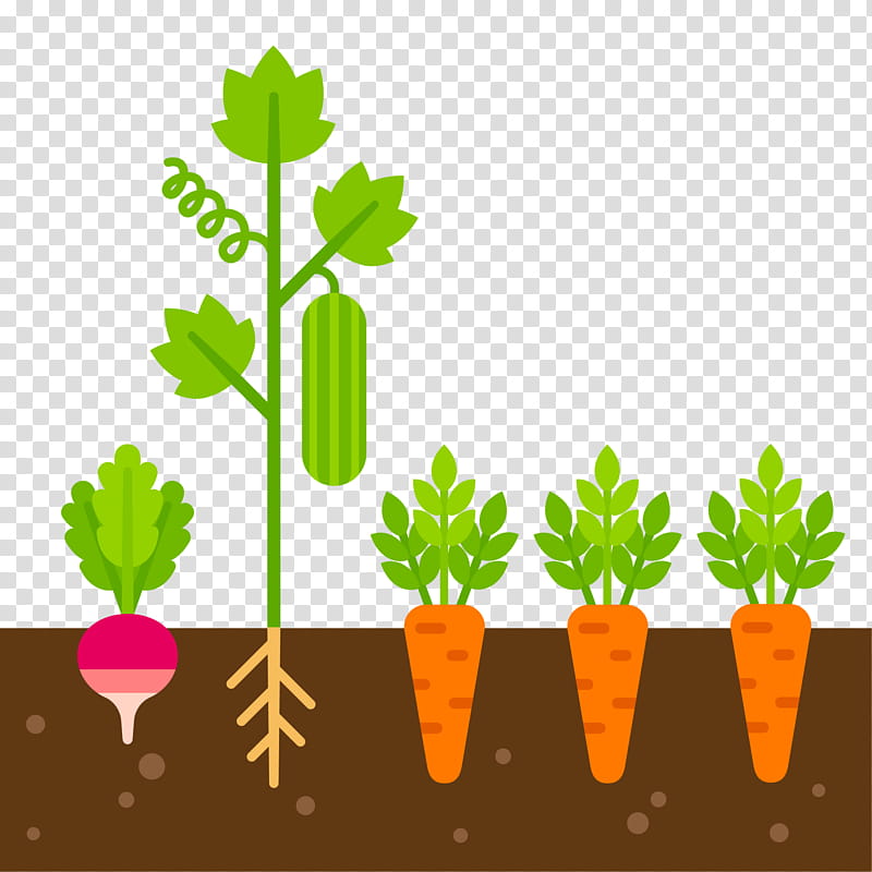 Flower Garden, Kitchen Garden, Gardening, Drawing, Vegetable, Leaf, Flowerpot, Plant transparent background PNG clipart