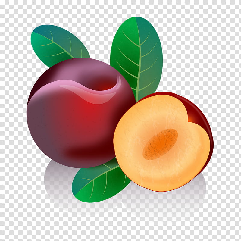Fruit, Food, Red, Peach, Plum, Purple, Plant transparent background PNG clipart