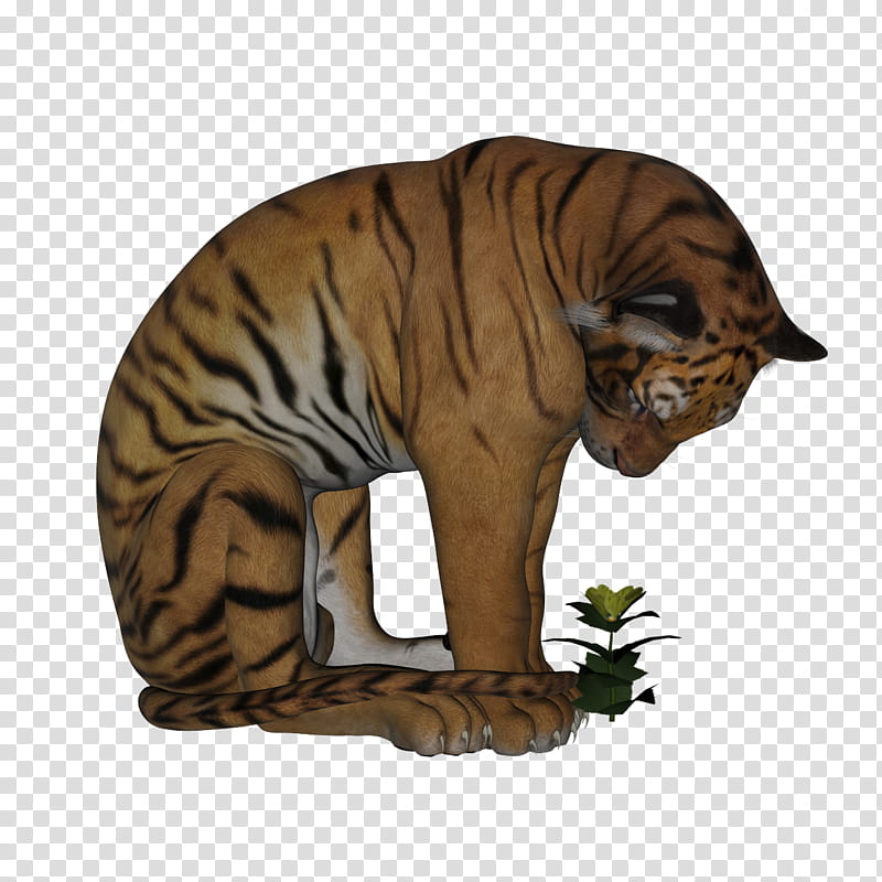 Free Resource Simple Pleasures, brown tiger illustration transparent background PNG clipart