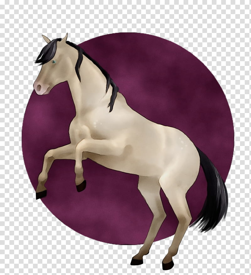 horse purple violet mare stallion, Watercolor, Paint, Wet Ink, Mane, Dressage, English Pleasure, Fictional Character transparent background PNG clipart