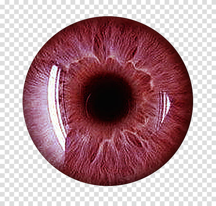 Eye Lenses, human eye illustration transparent background PNG clipart