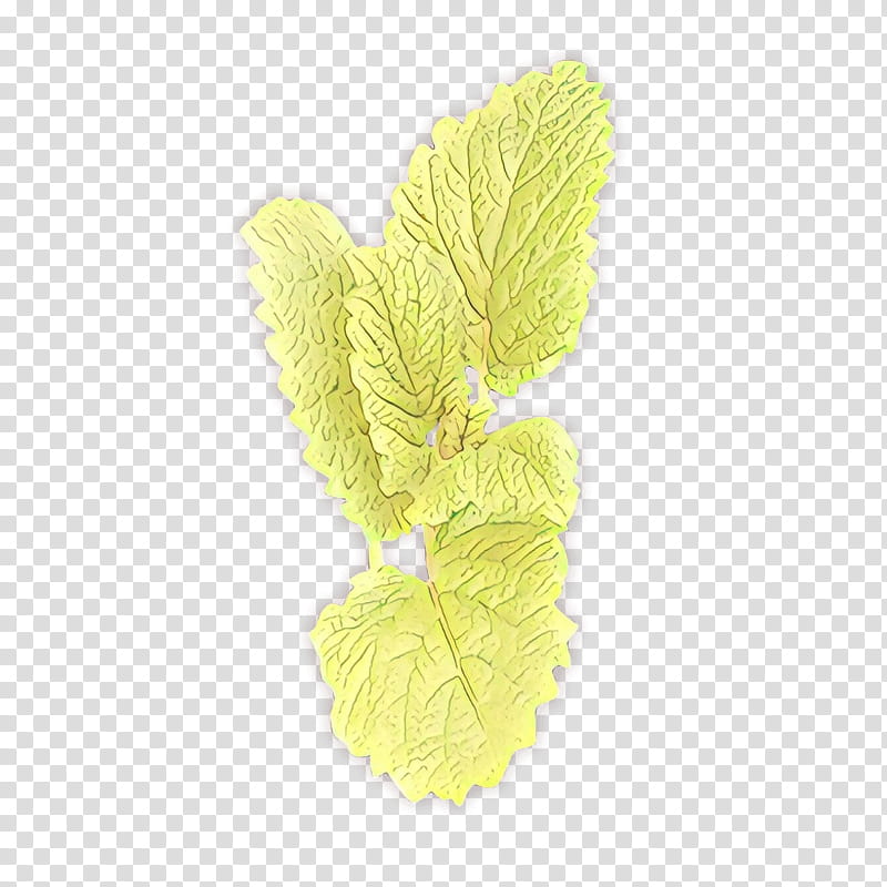 Yellow Flower, Leaf, Plant, Herb transparent background PNG clipart