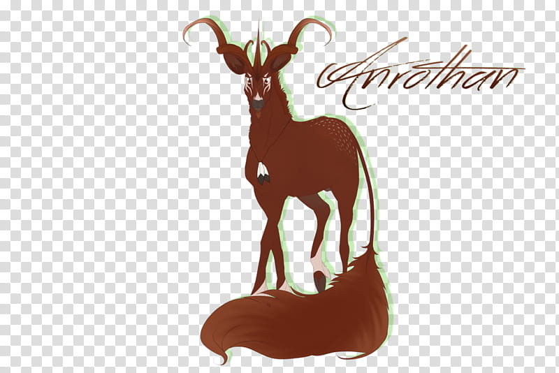 Cow, Antelope, Goat, Reindeer, Cartoon, Wildlife, Horn, Antler transparent background PNG clipart