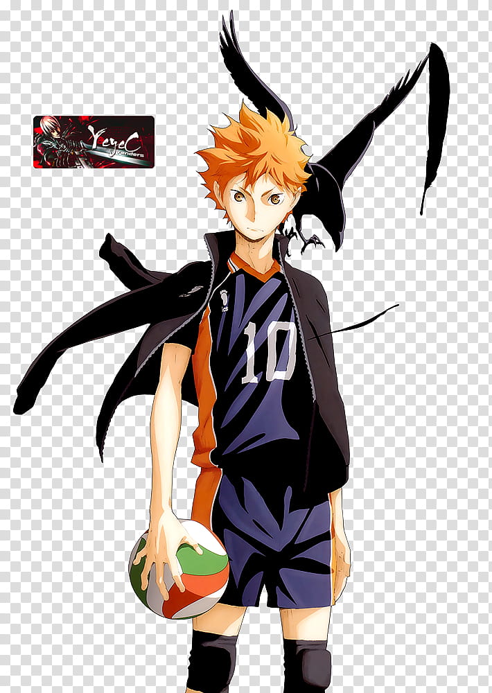 Haikyuu OAD 2  Anime, Haikyuu, Haikyuu anime