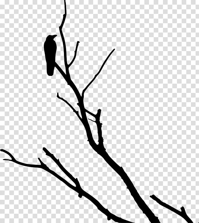 Family Tree Silhouette, American Crow, Common Raven, Rook, Bird, Cape Crow, Crow Family, Crows transparent background PNG clipart