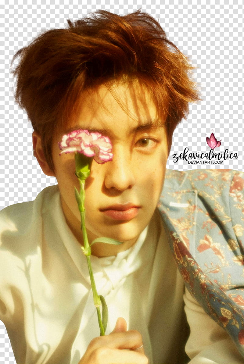 NCT Jaehyun Try Again, BTS member holding pink carnation flower transparent background PNG clipart