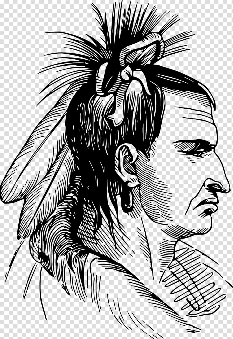 Hair, United States, Native American Mascot Controversy, American Indian Wars, Tribe, White Buffalo, Indigenous Peoples, First Nations transparent background PNG clipart