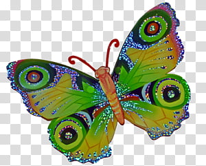 Butterfly 2 transparent background PNG clipart thumbnail