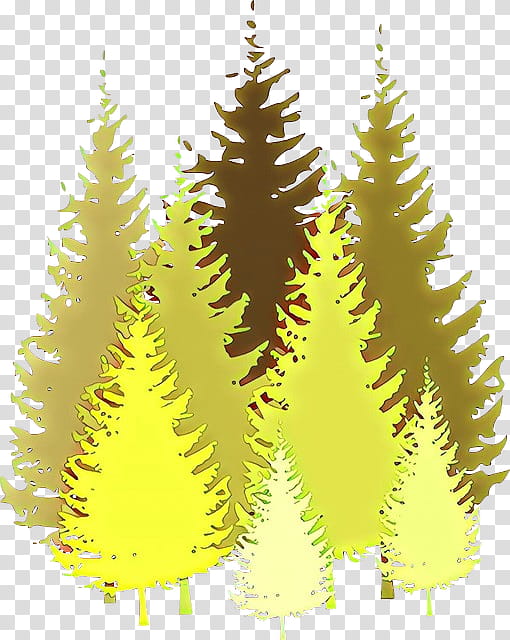 shortleaf black spruce oregon pine tree lodgepole pine yellow, Cartoon, Balsam Fir, American Larch, Colorado Spruce, Plant, Hackmatack transparent background PNG clipart