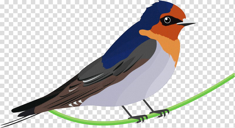 bird beak european robin songbird old world flycatcher, Perching Bird, Bluebird transparent background PNG clipart