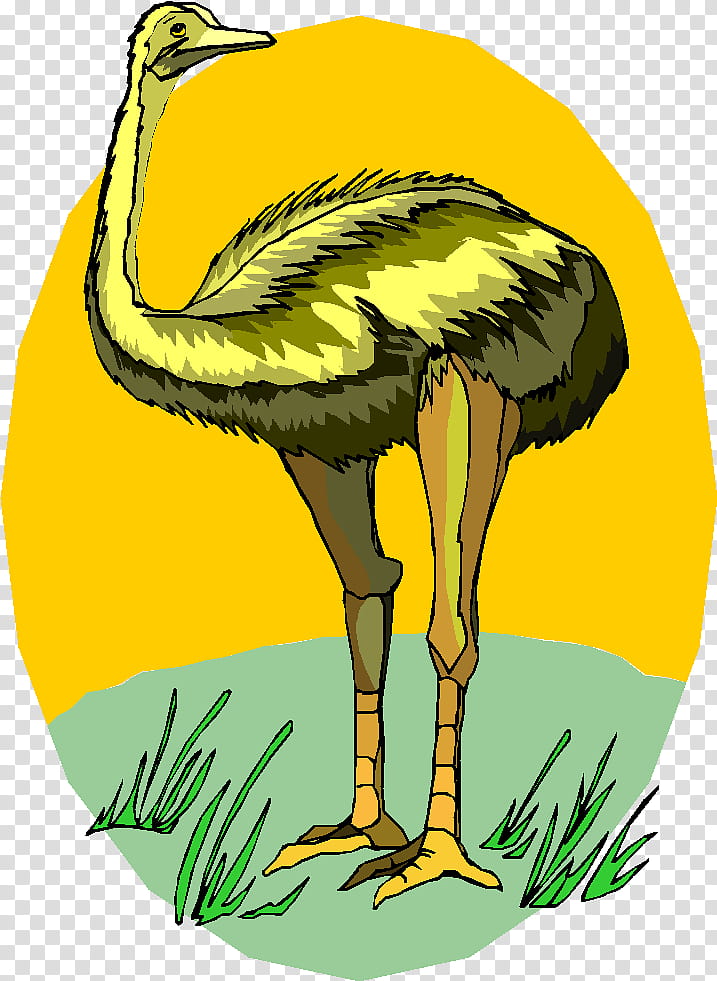 Cartoon Bird, Common Ostrich, Drawing, Cartoon, Emu, Animation, Smiley, BMP File Format transparent background PNG clipart