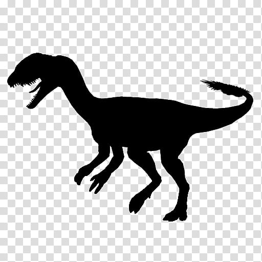 Animal, Velociraptor, Tyrannosaurus, Silhouette, Dinosaur, Tail, Animal Figure, Wildlife transparent background PNG clipart