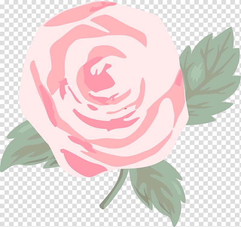 Garden roses, Pink Rose, Watercolor Rose, Wedding Invitation Flower, Petal, Plant, Rose Family, Hybrid Tea Rose transparent background PNG clipart